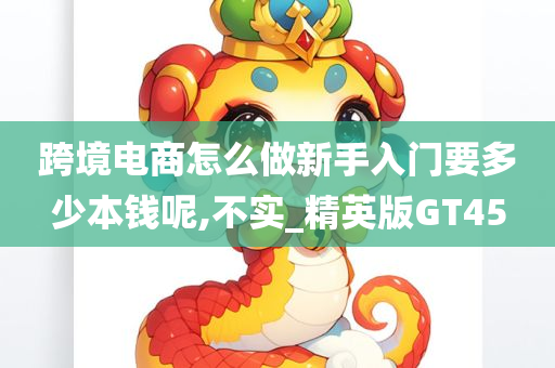 跨境电商怎么做新手入门要多少本钱呢,不实_精英版GT45