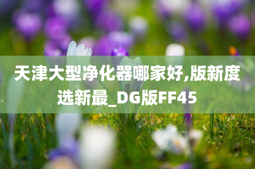 天津大型净化器哪家好,版新度选新最_DG版FF45