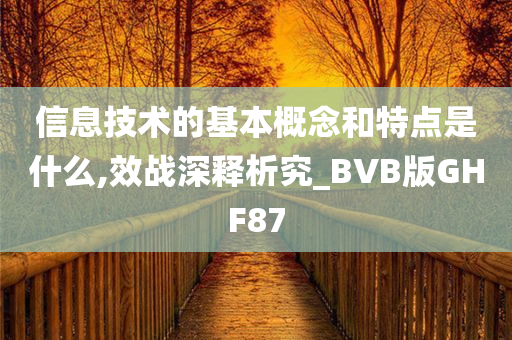 信息技术的基本概念和特点是什么,效战深释析究_BVB版GHF87