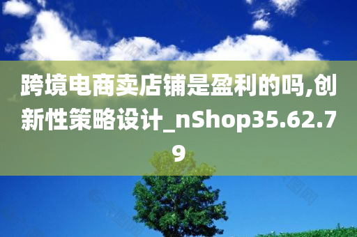 跨境电商卖店铺是盈利的吗,创新性策略设计_nShop35.62.79