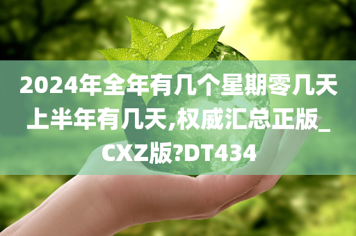 2024年全年有几个星期零几天上半年有几天,权威汇总正版_CXZ版?DT434