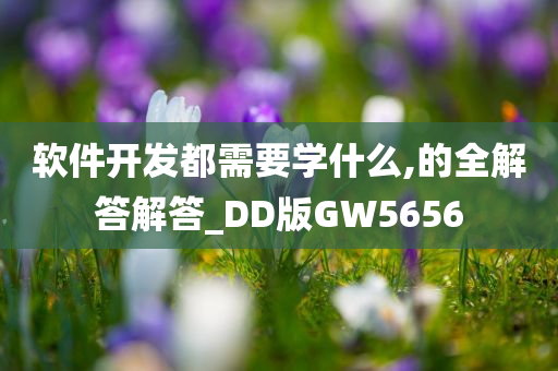 软件开发都需要学什么,的全解答解答_DD版GW5656