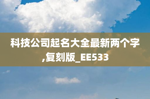 科技公司起名大全最新两个字,复刻版_EE533