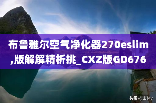 布鲁雅尔空气净化器270eslim,版解解精析挑_CXZ版GD676