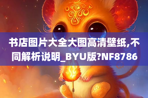 书店图片大全大图高清壁纸,不同解析说明_BYU版?NF8786