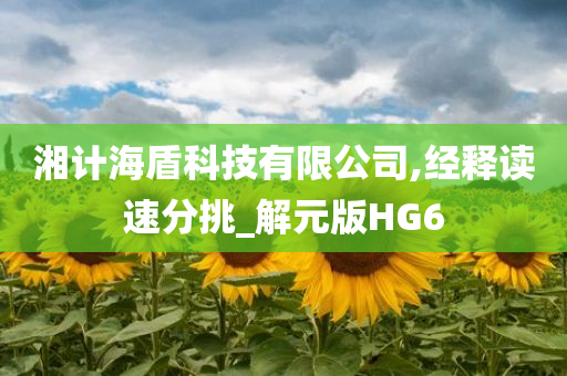 湘计海盾科技有限公司,经释读速分挑_解元版HG6