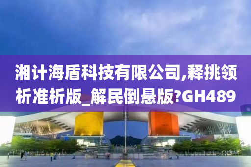 湘计海盾科技有限公司,释挑领析准析版_解民倒悬版?GH489