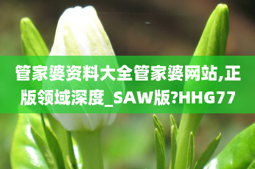 管家婆资料大全管家婆网站,正版领域深度_SAW版?HHG77