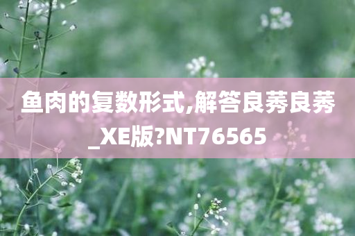 鱼肉的复数形式,解答良莠良莠_XE版?NT76565