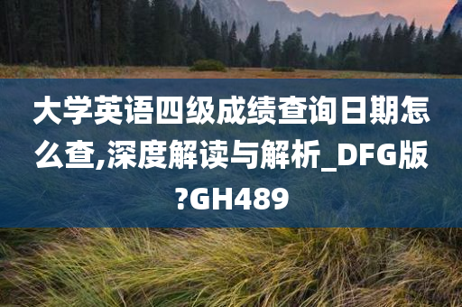 大学英语四级成绩查询日期怎么查,深度解读与解析_DFG版?GH489