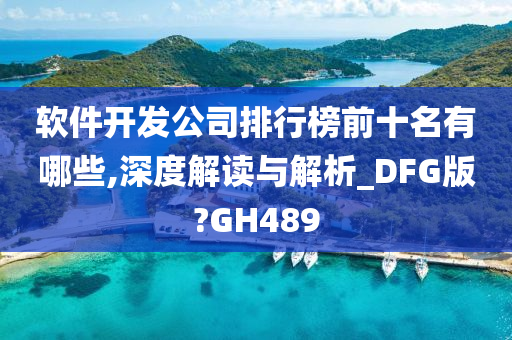 软件开发公司排行榜前十名有哪些,深度解读与解析_DFG版?GH489