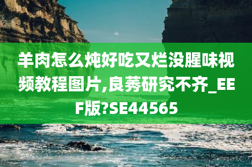 羊肉怎么炖好吃又烂没腥味视频教程图片,良莠研究不齐_EEF版?SE44565