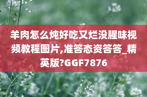 羊肉怎么炖好吃又烂没腥味视频教程图片,准答态资答答_精英版?GGF7876