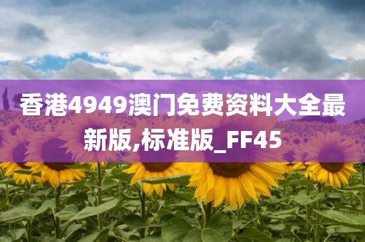 香港4949澳门免费资料大全最新版,标准版_FF45