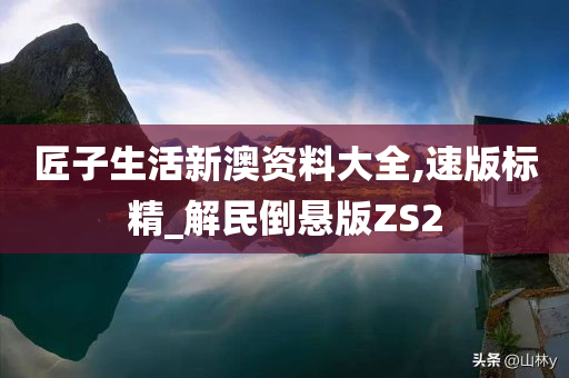 匠子生活新澳资料大全,速版标精_解民倒悬版ZS2