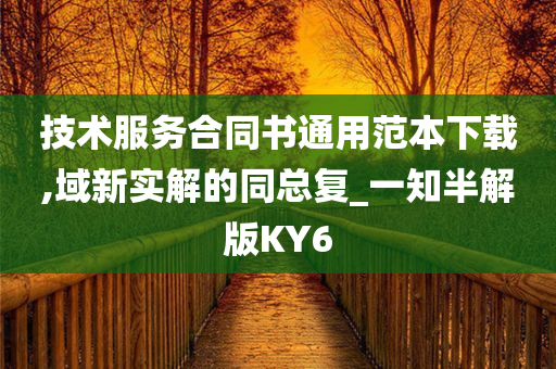 技术服务合同书通用范本下载,域新实解的同总复_一知半解版KY6