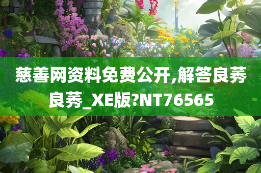 慈善网资料免费公开,解答良莠良莠_XE版?NT76565