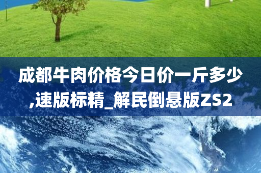 成都牛肉价格今日价一斤多少,速版标精_解民倒悬版ZS2