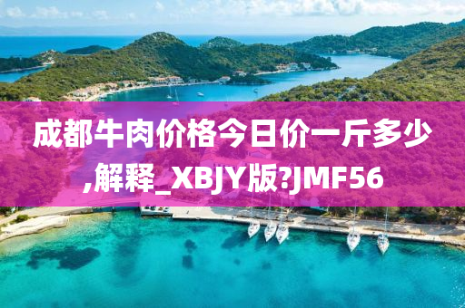 成都牛肉价格今日价一斤多少,解释_XBJY版?JMF56