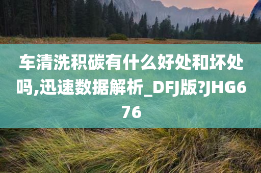 车清洗积碳有什么好处和坏处吗,迅速数据解析_DFJ版?JHG676