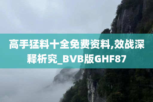 高手猛料十全免费资料,效战深释析究_BVB版GHF87