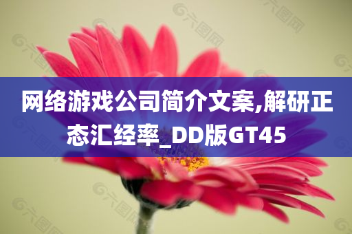 网络游戏公司简介文案,解研正态汇经率_DD版GT45