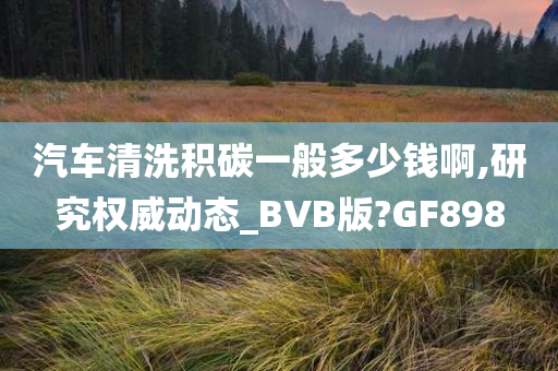 汽车清洗积碳一般多少钱啊,研究权威动态_BVB版?GF898