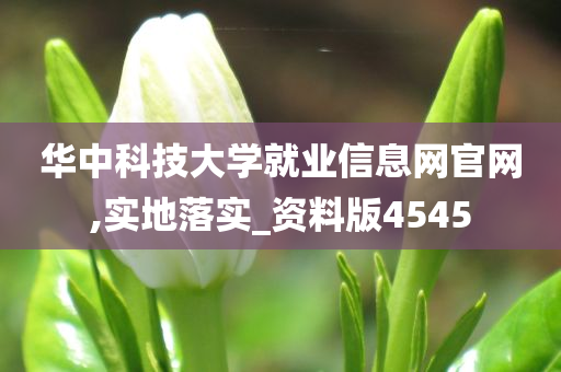 华中科技大学 第2页