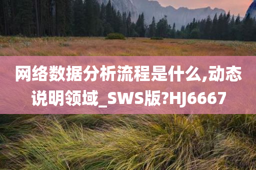 网络数据分析流程是什么,动态说明领域_SWS版?HJ6667