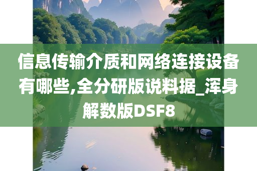 信息传输介质和网络连接设备有哪些,全分研版说料据_浑身解数版DSF8