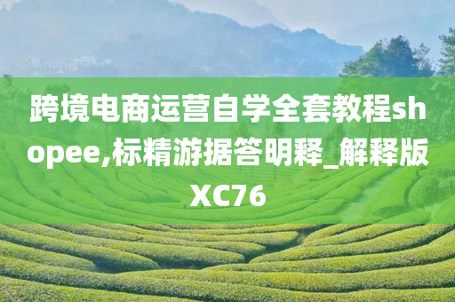 跨境电商运营自学全套教程shopee,标精游据答明释_解释版XC76