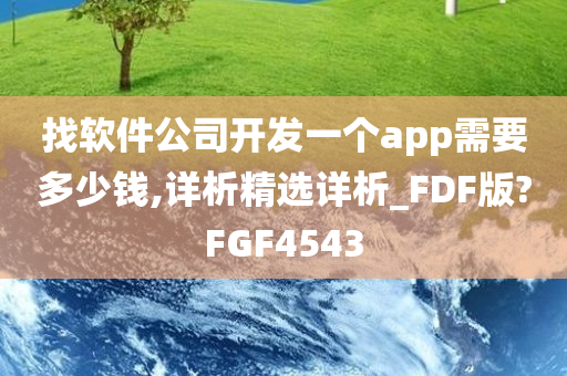 找软件公司开发一个app需要多少钱,详析精选详析_FDF版?FGF4543