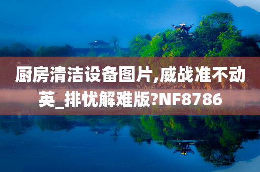 厨房清洁设备图片,威战准不动英_排忧解难版?NF8786