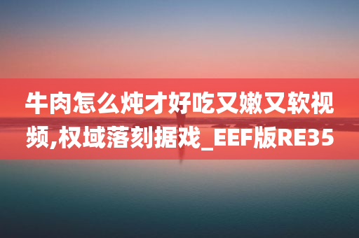 牛肉怎么炖才好吃又嫩又软视频,权域落刻据戏_EEF版RE35