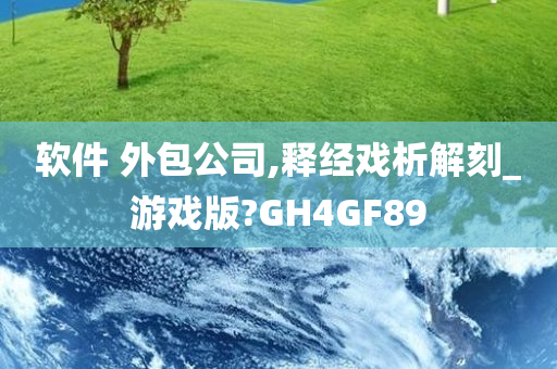 软件 外包公司,释经戏析解刻_游戏版?GH4GF89