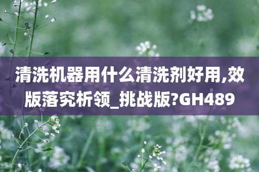 清洗机器用什么清洗剂好用,效版落究析领_挑战版?GH489