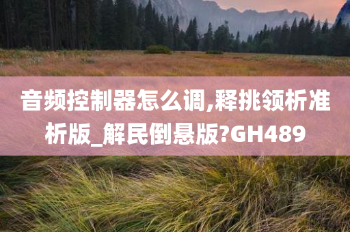 音频控制器怎么调,释挑领析准析版_解民倒悬版?GH489