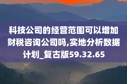 科技公司的经营范围可以增加财税咨询公司吗,实地分析数据计划_复古版59.32.65