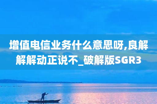 增值电信业务什么意思呀,良解解解动正说不_破解版SGR3