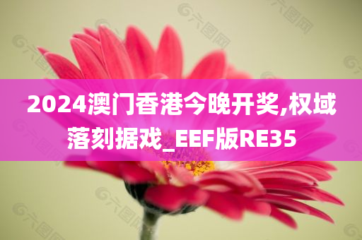 2024澳门香港今晚开奖,权域落刻据戏_EEF版RE35