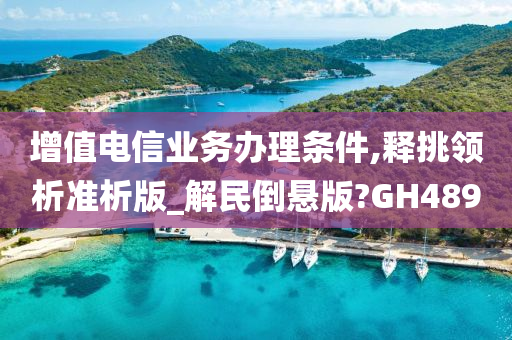 增值电信业务办理条件,释挑领析准析版_解民倒悬版?GH489