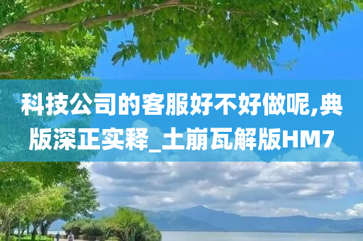 科技公司的客服好不好做呢,典版深正实释_土崩瓦解版HM7