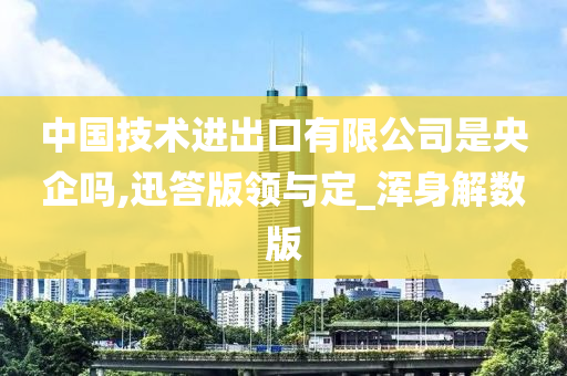 中国技术进出口有限公司是央企吗,迅答版领与定_浑身解数版