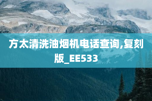 方太清洗油烟机电话查询,复刻版_EE533