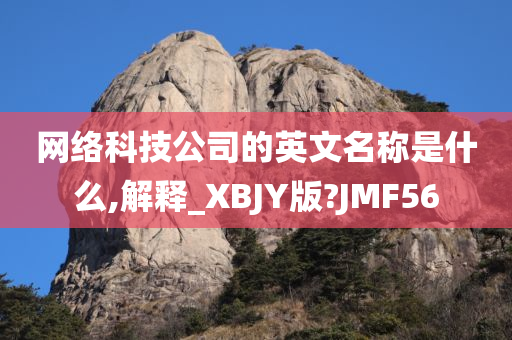 网络科技公司的英文名称是什么,解释_XBJY版?JMF56