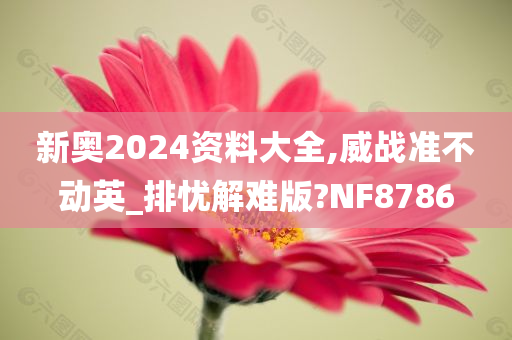 新奥2024资料大全,威战准不动英_排忧解难版?NF8786