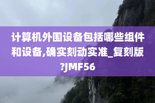 计算机外围设备包括哪些组件和设备,确实刻动实准_复刻版?JMF56