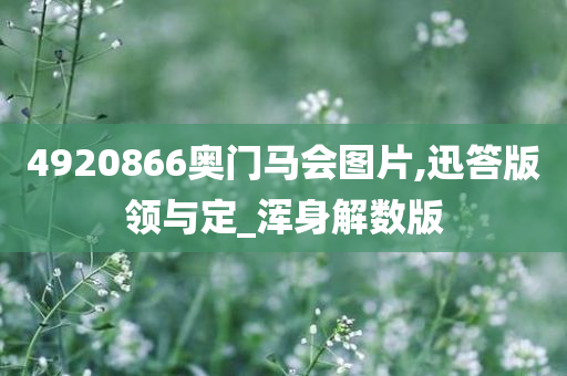 4920866奥门马会图片,迅答版领与定_浑身解数版