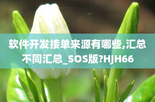 软件开发接单来源有哪些,汇总不同汇总_SOS版?HJH66