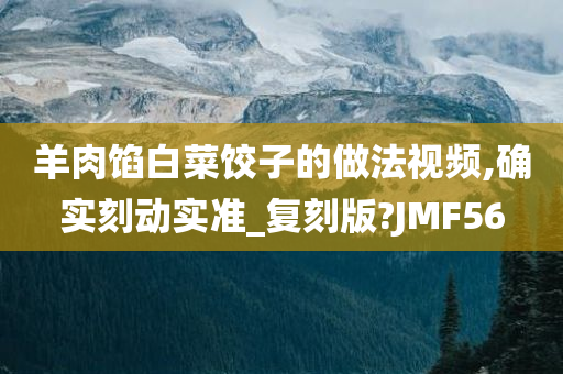 羊肉馅白菜饺子的做法视频,确实刻动实准_复刻版?JMF56